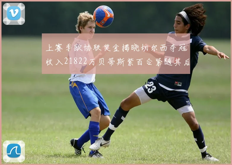 上赛季欧协联奖金揭晓切尔西夺冠收入21822万贝蒂斯紫百合紧随其后