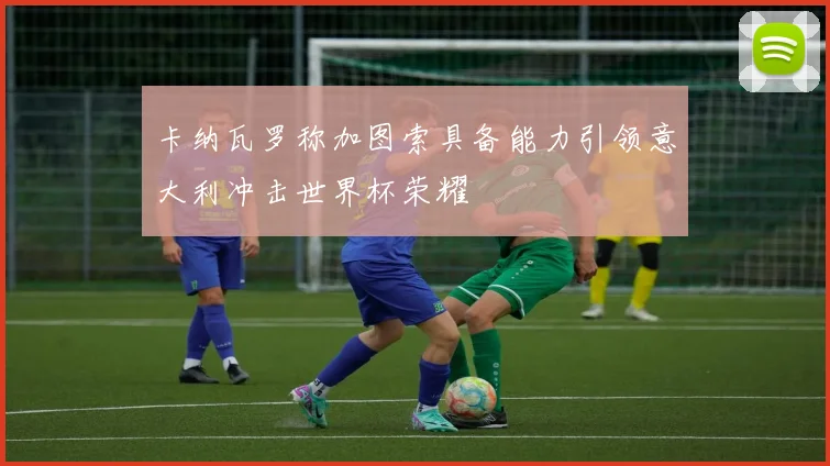 卡纳瓦罗称加图索具备能力引领意大利冲击世界杯荣耀