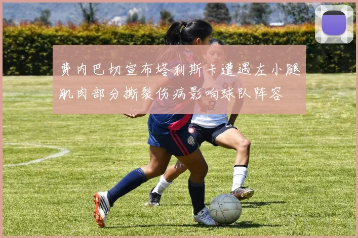 费内巴切宣布塔利斯卡遭遇左小腿肌肉部分撕裂伤病影响球队阵容