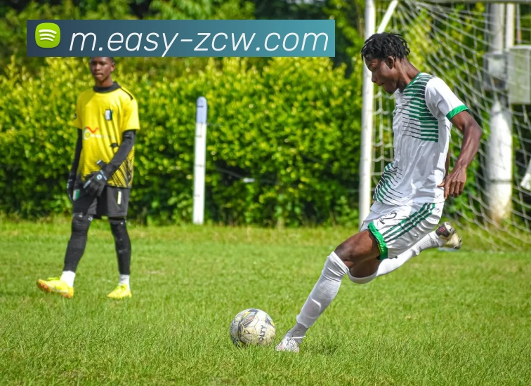 足彩网平台生态图