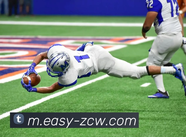 足彩网APP 封面图